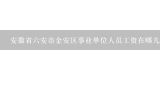 安徽省六安市金安区事业单位人员工资在哪儿查到