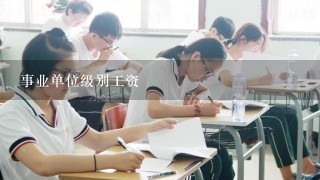 事业单位级别工资