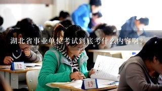 湖北省事业单位考试到底考什么内容啊？