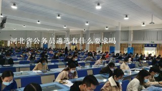 河北省公务员遴选有什么要求吗