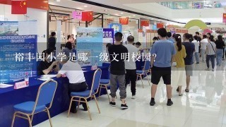 裕丰园小学是哪一级文明校园？