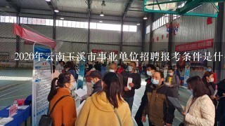 2020年云南玉溪市事业单位招聘报考条件是什么？