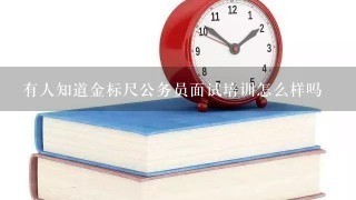 有人知道金标尺公务员面试培训怎么样吗