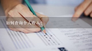 如何查询个人收入？