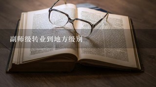 副师级转业到地方级别