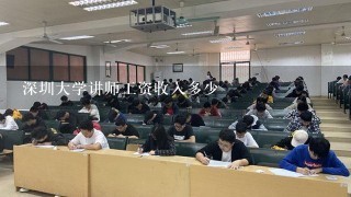 深圳大学讲师工资收入多少