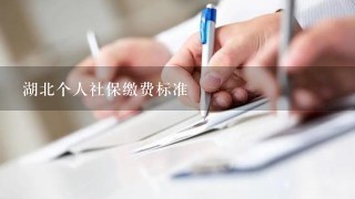 湖北个人社保缴费标准