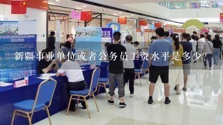 新疆事业单位或者公务员工资水平是多少？