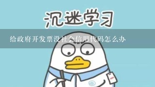 给政府开发票没社会信用代码怎么办