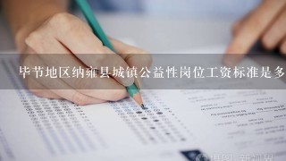 毕节地区纳雍县城镇公益性岗位工资标准是多少