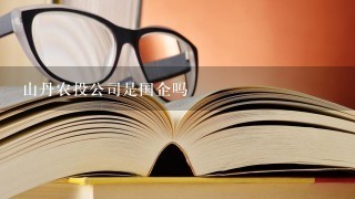 山丹农投公司是国企吗