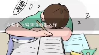 西藏事业编制待遇怎么样