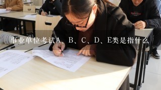事业单位考试A、B、C、D、E类是指什么