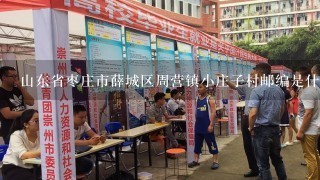 山东省枣庄市薛城区周营镇小庄子村邮编是什么?