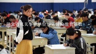 湖北省机关事业单位养老保险缴费基数