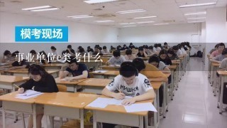 事业单位e类考什么