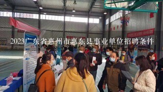 2023广东省惠州市惠东县事业单位招聘条件