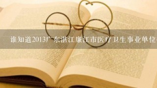 谁知道2013广东湛江廉江市医疗卫生事业单位招聘考试职位表下载地址?