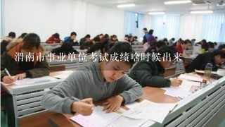 渭南市事业单位考试成绩啥时候出来