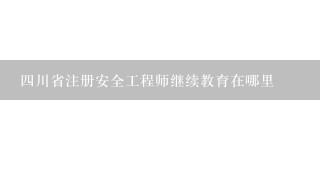 四川省注册安全工程师继续教育在哪里