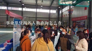 事业单位报名人数查询怎么查