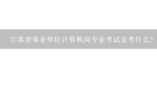 江苏省事业单位计算机岗专业考试是考什么?