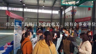 什么是“县级以下党政机关、国有企事业单位”啊？