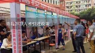 青岛2023人才引进政策