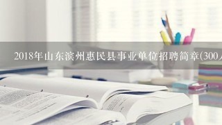 2018年山东滨州惠民县事业单位招聘简章(300人)