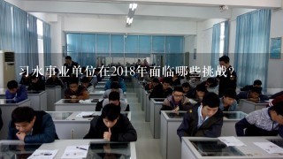 习水事业单位在2018年面临哪些挑战?